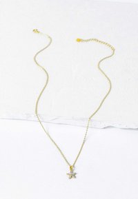 Collana in oro con pendente a forma di stella decorato con pietre trasparenti. La catena è delicata e ha una lunghezza regolabile.