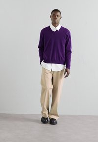 WOOYOUNGMI MENS SWEATER - Pullover - violet