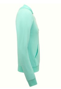 Muntgroene hoodie met een voorkant zak, lange mouwen, ribgebreide manchetten en een capuchon met trekkoord. Glad textuur, lichtgewicht stof.