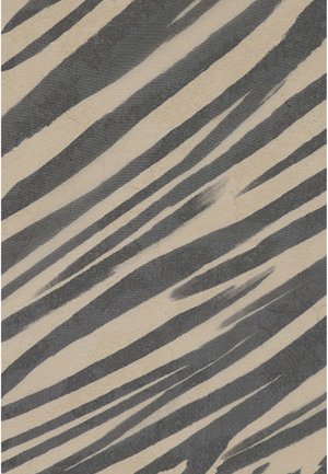 HotSquash Šál - animal stripe