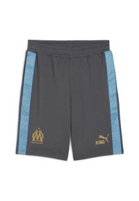 Shorts de sport gris avec logos dorés et bleus. Dotés d'une ceinture extensible et d'une bande latérale bleue à motif.