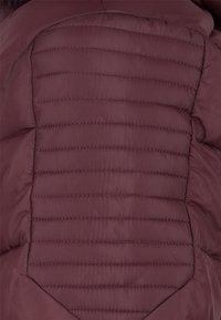 Doudoune bordeaux avec un design matelassé au dos, ornée de coutures horizontales, offrant une texture lisse et une apparence isolée.