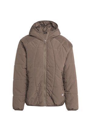 LIFESTYLE INSULATED  - Veste d'hiver - braun