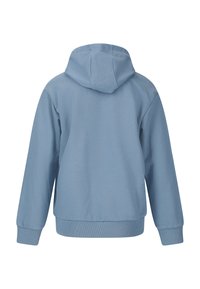 Lichtblauwe hoodie met een ontspannen pasvorm, elastische manchetten en zoom. Gladde textuur; de achterkant toont geen extra patronen of accenten.