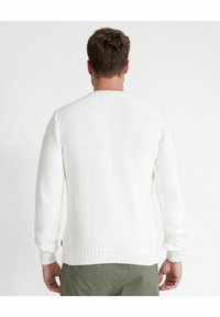 Holebrook BOTVID CREW - Strickpullover - off white