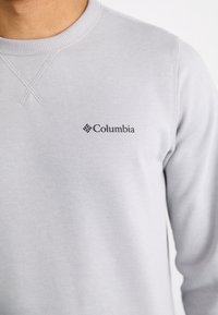 Sudadera gris claro con cuello redondo y el logo de Columbia impreso en negro en el lado izquierdo del pecho, llevada por una persona.