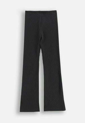 Coccodrillo, - Spodnie legginsy