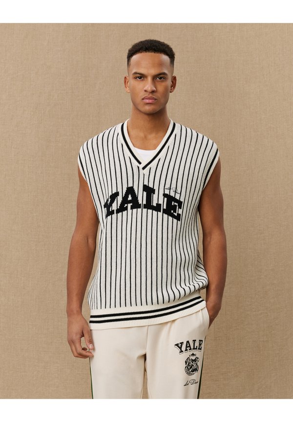YALE PINSTRIPE V NECK VEST UNISEX - Jumper