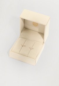 Caja de joyas beige con un acabado texturizado, que presenta dos soportes para pendientes acentuados en oro y un logo dorado grabado en la tapa interior.