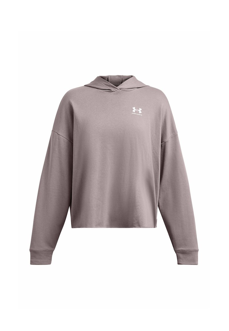 Under Armour Hoodie grijs Under Armour Hoodie grijs