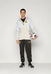 Puma BVB PUMATECH HOODIE - Klubruházat - silver-coloured mist/faster yellow