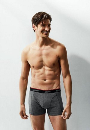 6 PACK - Panties - grey