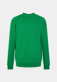 Grön sweatshirt med långa ärmar, rund halsringning och ribbade muddar och fåll. Slät textur, enhetlig färg, inga mönster eller grafiska tryck.