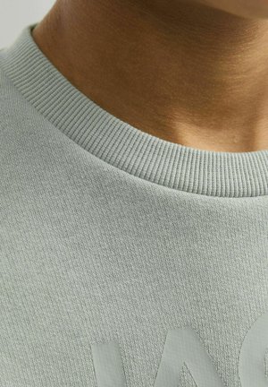 Ljusgrå sweatshirt med ribbad rund hals. Mjuk tygstruktur, med en slät yta och en subtil logotypdetalj nära botten.