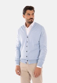 Cardigan azzurro chiaro con scollatura a V, maniche lunghe e chiusura a cinque bottoni, realizzato in un materiale morbido. Texture sottile, abbinato a una camicia bianca.