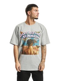 Camiseta de algodón gris con un gráfico colorido que incluye el texto "DIAS ANTES DEL VERANO", mariposas y un fondo paisajístico. Con mangas cortas.