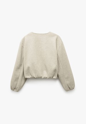 Felpa grigia chiara corta in morbido tessuto, con maniche lunghe a palloncino e un semplice design con colletto rotondo. Finitura testurizzata.