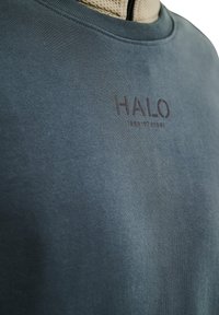Szary-niebieski sweatshirt z prążkowanym dekoltem i małym logo "HALO" w ciemnym brązie. Miękka tekstura, swobodny design, minimalistyczny styl.