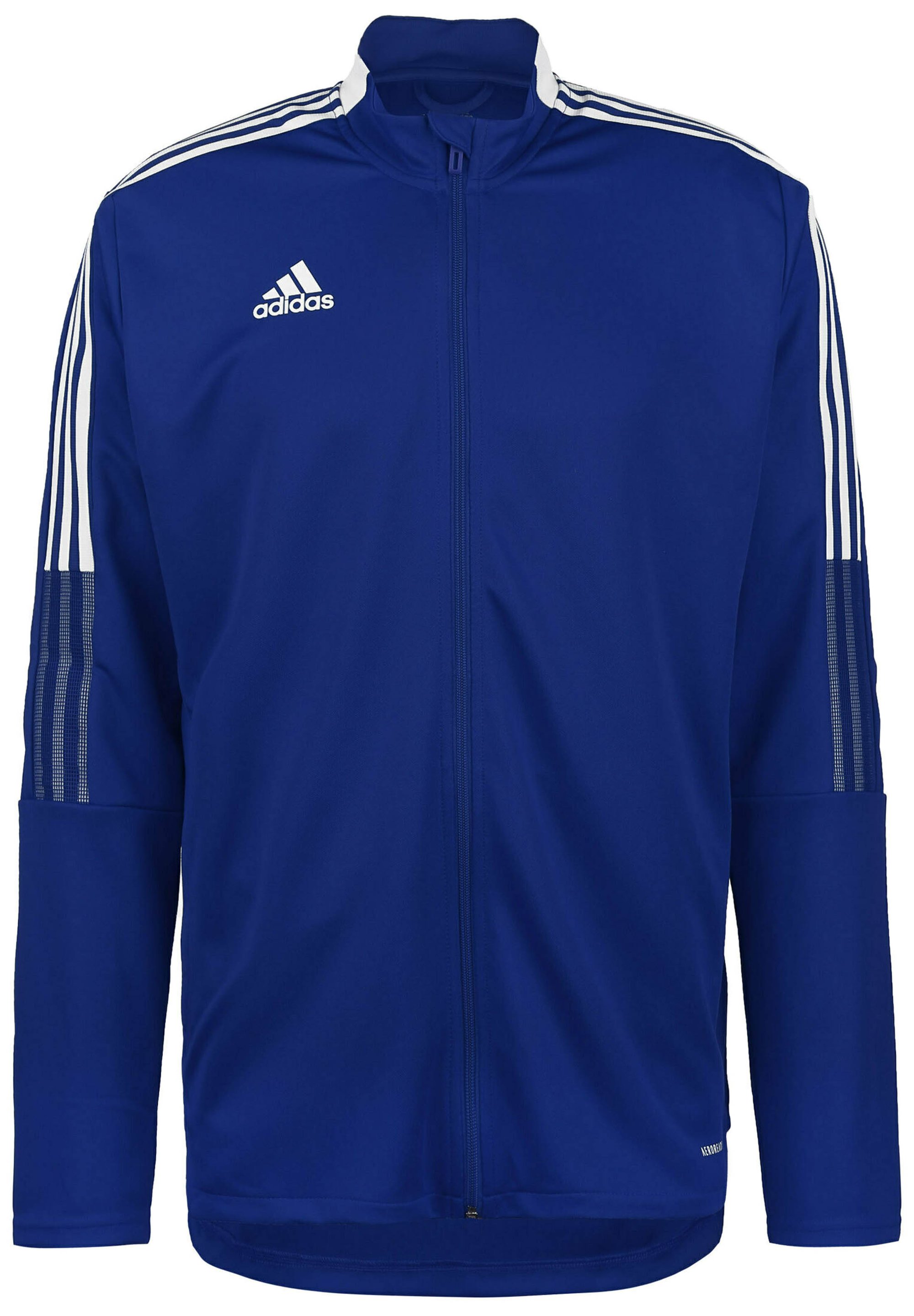 adidas Performance TIRO Training jacket team royal blue/blue
