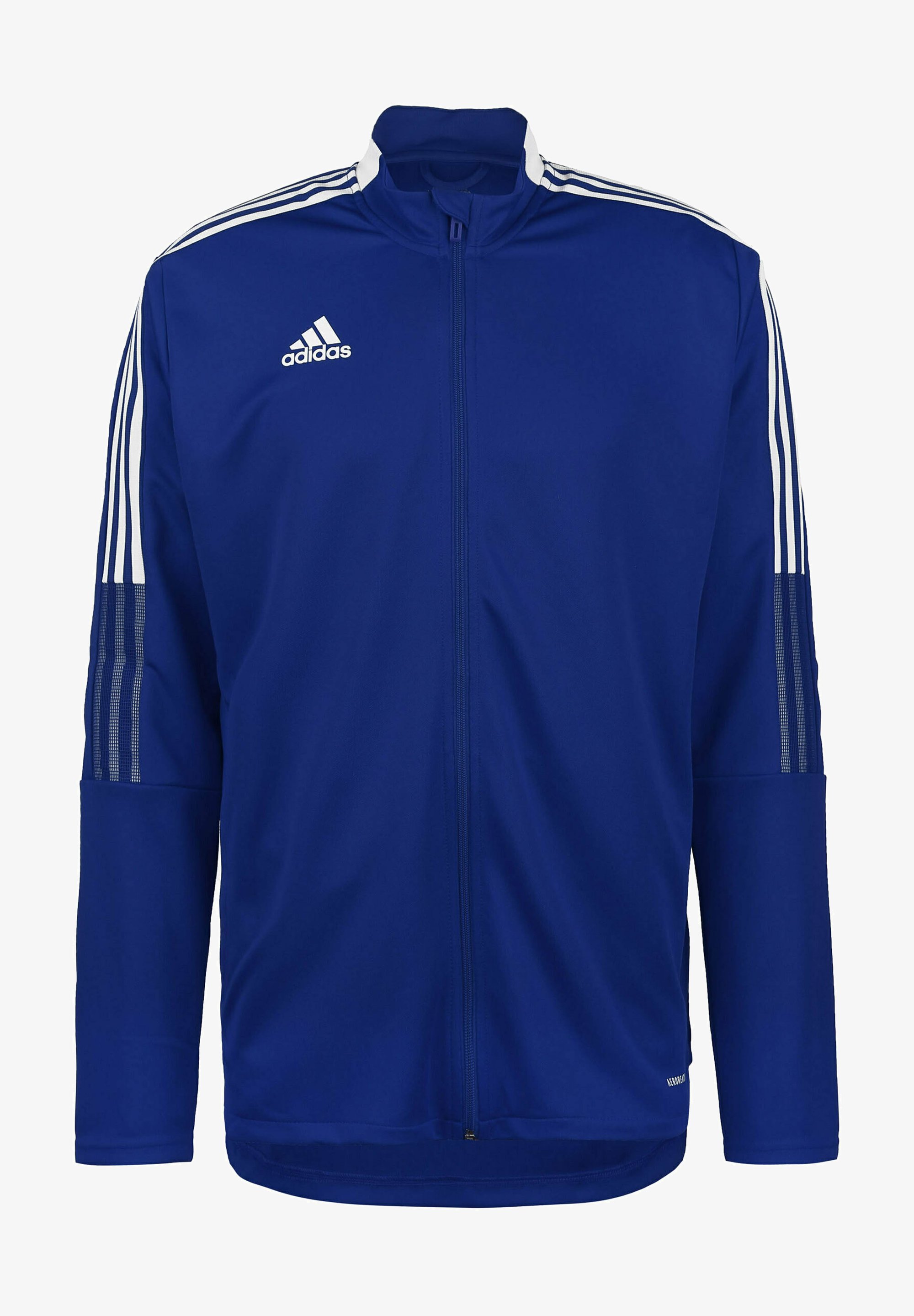 adidas Performance TIRO Training jacket team royal blue/blue