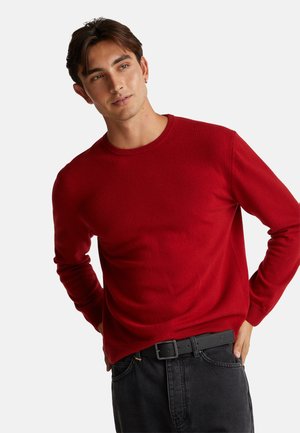 CREW NECK - Strickpullover - red