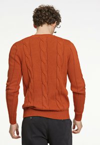 Oranger Kabelstrickpullover mit gerippten Bündchen und Saum, der entlang des Rückens mit einem gedrehten Muster verziert ist. Hergestellt aus einem strukturierten Strickmaterial.