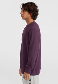 Paarse lange-mouwen sweatshirt van zachte stof. Heeft een ronde halslijn, ribgebreide manchetten en een logo op de borst. Slank model.