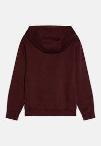 Hanorac bordeaux cu glugă, cu mâneci lungi și tiv ribotat. Textură netedă, design simplu și fără logo-uri vizibile.