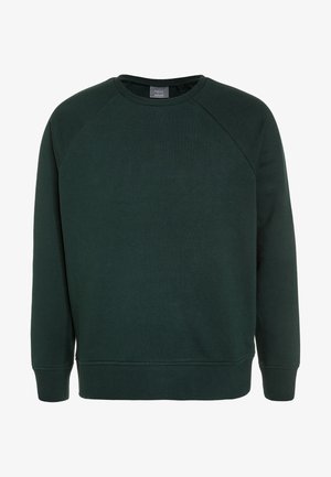 CREW NECK - Sportinis megztinis - green