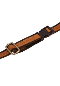 Hundhalsband med brun tyg och en texturerad läderdetalj. Inkluderar en svart plastspänne och en metall D-ring för koppling av koppel.