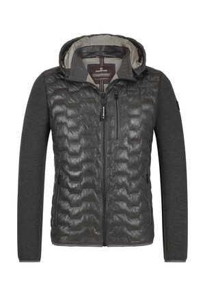 MSDARWIN - Winterjacke - anthrazit