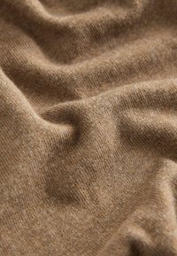 SOFT TOUCH CREW NECK - Pulover - camel