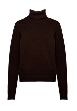 Suéter de cuello alto marrón hecho de un suave tejido de punto, con mangas largas y puños y dobladillo acanalados, con un ajuste relajado.