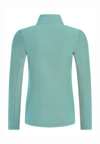 Giacca in pile azzurro con maniche lunghe e colletto alla coreana, vista da dietro su sfondo bianco.