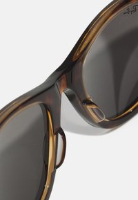 Lunettes de soleil en écaille sombre avec une finition brillante, présentant des bords courbés, des verres dégradés et de subtils accents dorés sur la monture.