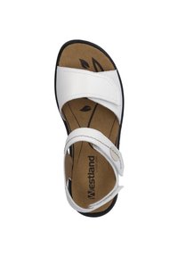 Westland by Josef Seibel IBIZA 79 - Sandals - weiss