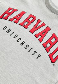 Grauer Sweatshirt mit "HARVARD" in bold roter Schrift über "UNIVERSITY" in Schwarz. Strukturierter, weicher Stoff mit geripptem Ausschnitt. Rundform.