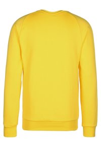Geel sweatshirt met lange mouwen, ronde halslijn, en geribbelde manchetten en zoom. Gladde stof met een effen kleur en geen zichtbare patronen.