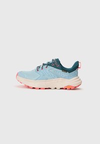 ANACAPA 2 LOW GTX - Hikingschuh - druzy/dawn light