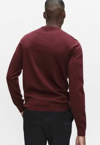 Bordeauxrode gebreide trui met lange mouwen en een ronde hals, voorzien van een gladde textuur en geribbelde zoom. Eenvoudig ontwerp, zonder patronen of accenten.