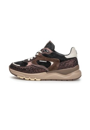 Floris van Bommel, FLORIS VAN BOMMEL SNEAKER TRENI 02 - Baskets basses - bronz
