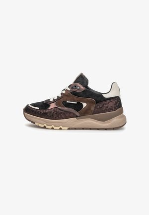 Floris van Bommel, FLORIS VAN BOMMEL SNEAKER TRENI 02 - Baskets basses - bronz