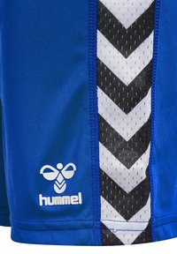 Blå sportshorts med svart och vit chevron-design, föreslagande ett ventilerande tygpanel och en tryckt logotyp på fåll.