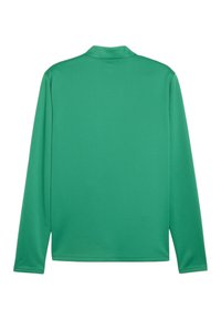 Langermige, gekleurde blouse in helder groen. Glad, lichtgewicht stof met een eenvoudig ontwerp, zonder zichtbare patronen of accenten.