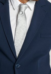 Muž ve tmavě modré sakové bundě, bílé košili a stříbrné vzorované kravatě, oříznutý v oblasti hrudníku s viditelným vousem.
