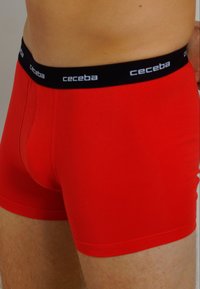 Ceceba 6ER PACK - Boxer Briefs - rot-mittel-uni