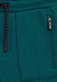 WE Fashion SALTY DOG - Pantalon de survêtement - green