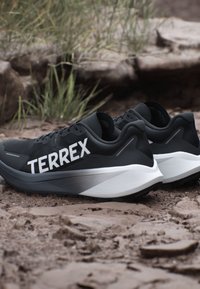 Scarpe da trail running bianche e nere con logo "TERREX", posizionate su terreno roccioso all'aperto con erba secca e sfondo di pietre.