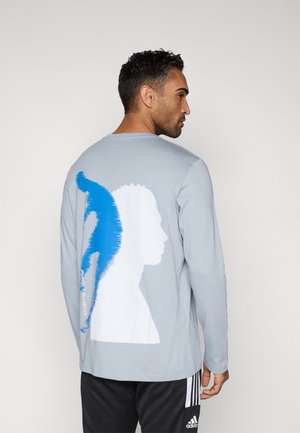 Long sleeved top - light grey