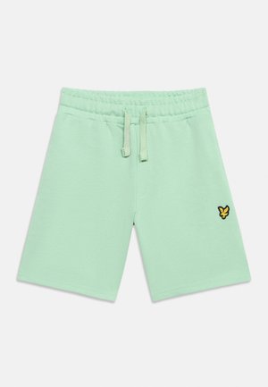 Minzgrüne Shorts mit elastischem Bund, Kordelzug und kleinem gelb-schwarzem Sticklogo am linken Bein.